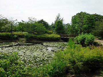 京王フローラルガーデンアンジュの池