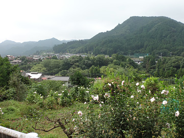 秋川南の山々