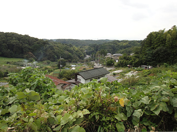 高台から別所の現鎌倉街道方面を望む
