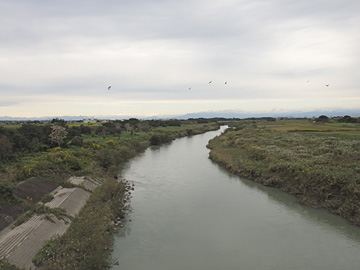 大芦橋から見る荒川