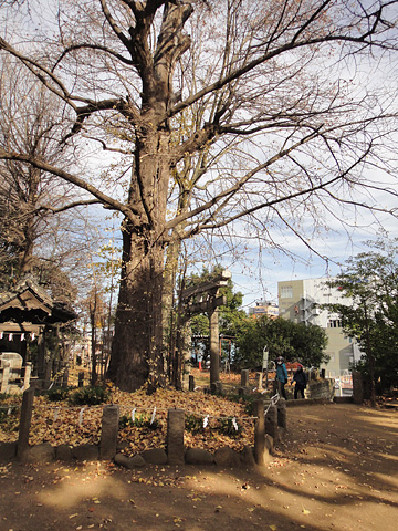 名所東京百景『日暮里諏訪神社』（令和二年（2020）十二月　冬の部）