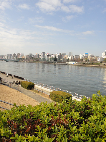 名所東京百景『言問橋ビル群遠望』（令和三年（2021年）二月　冬の部）