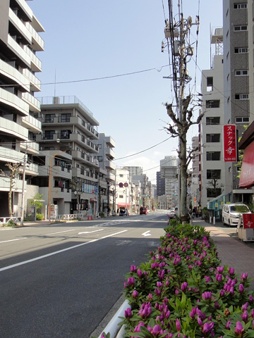 名所東京百景『小梅堤なし』（令和三年（2021年）二月　冬の部）