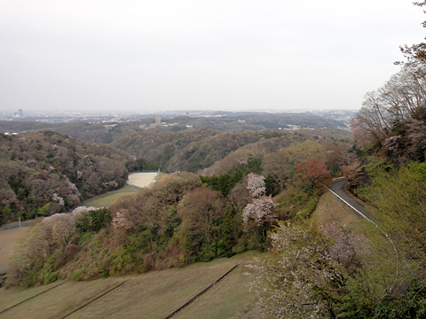 城山湖から見た東京都