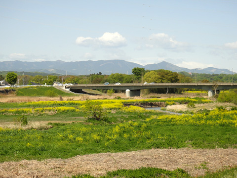 新東松山橋と笠山