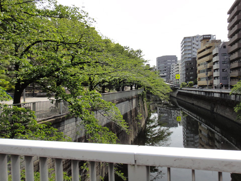 神田川と江戸川公園