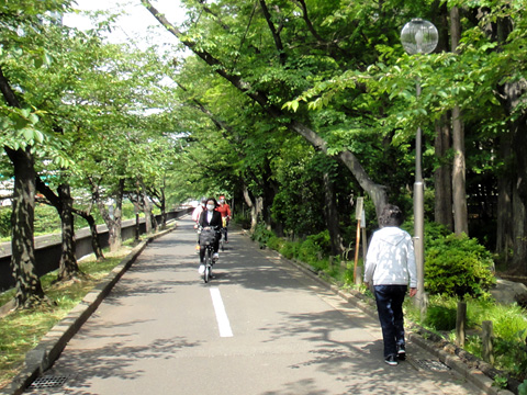 仙台堀川親水公園の歩行者自転車路