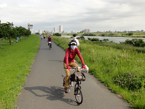 再び江戸川サイクリングロード
