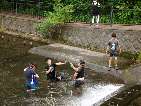 落合川で遊ぶ子供たち