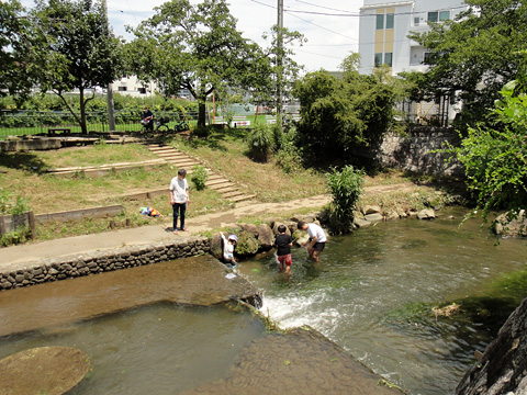 川遊びをする子供たち