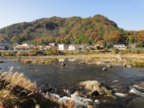 修善寺を流れる狩野川