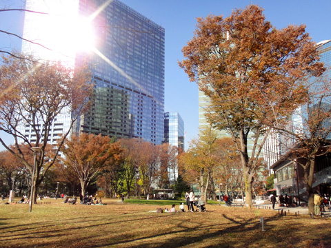 超高層ビルと新宿中央公園