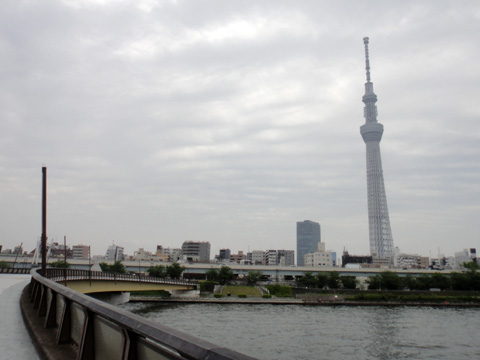 隅田川と桜橋