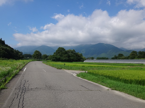 姫川左岸の道