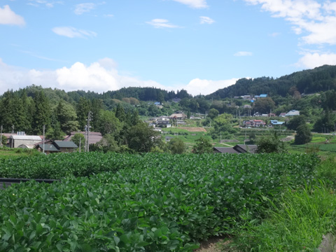 上野の集落