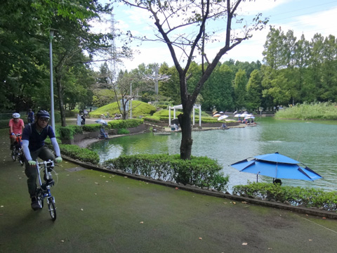 さぎ山記念公園の池
