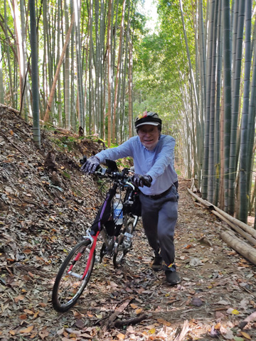 小山田緑地の竹林を上るマージコ