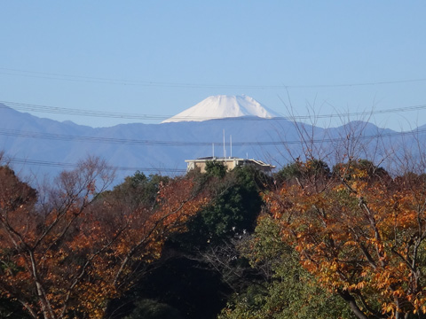 弓の橋から見た富士山