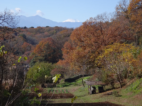 奈良ばい谷戸と富士山