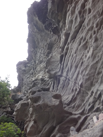 凝灰質砂岩の断崖
