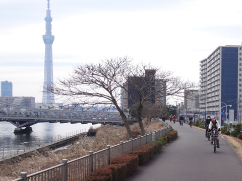 隅田川右岸の自転車道