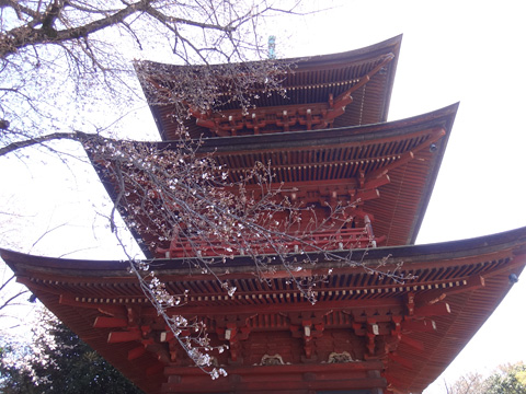 西福寺三重塔北面