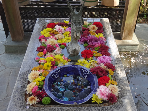 西光寺の花手水