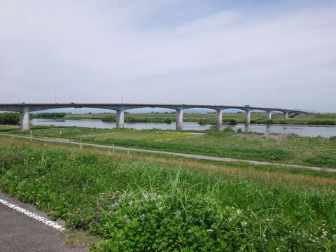 埼玉大橋