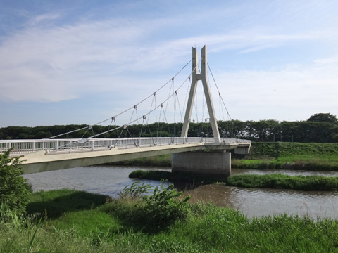 中川に架かる外野橋と権現堂堤
