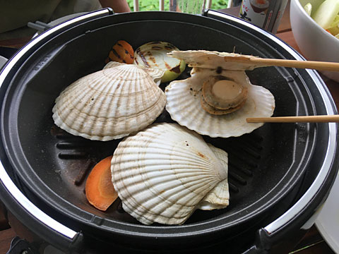 ホタテ