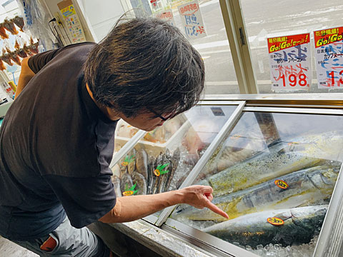 ショーケースの魚たち