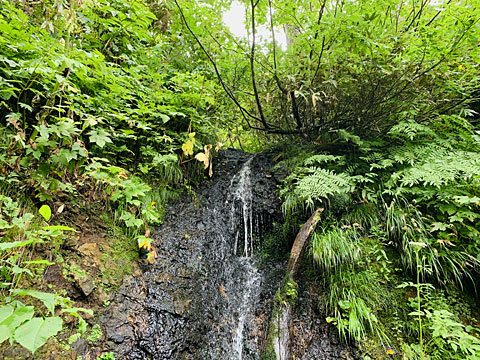 紅葉の滝の上部