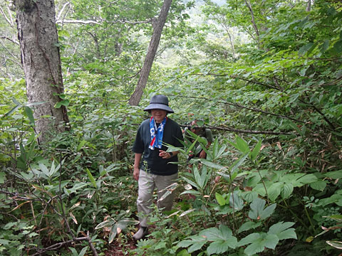 もうすぐ道路に着く