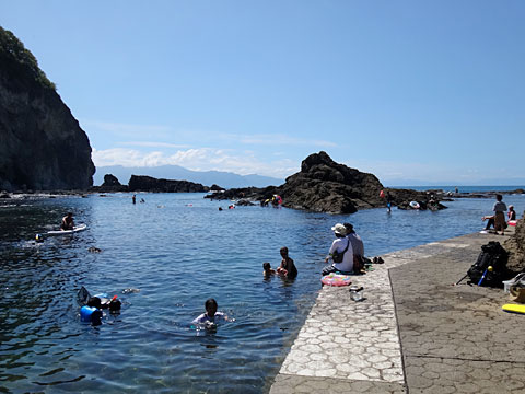 浅い岩場で磯遊び