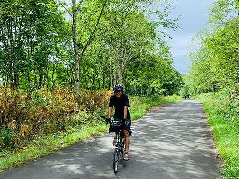 サイダーが進む