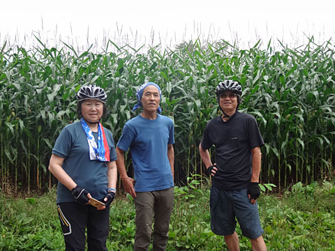 とうもろこし畑の前で