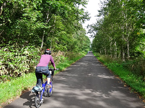 ヘロヘロのサリーナ