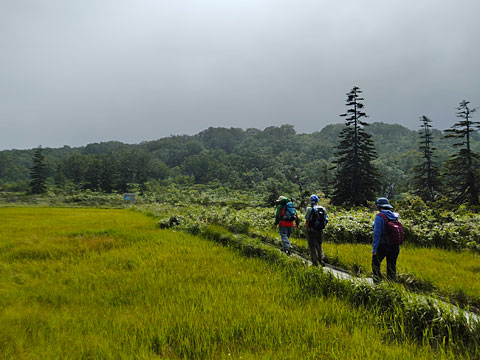 湿原の端に到着