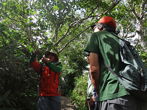 ガイドさんの説明を聞く