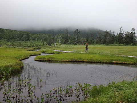 池塘とサイダー