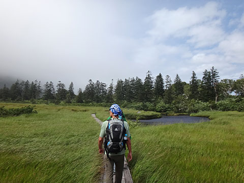 湿原を進む