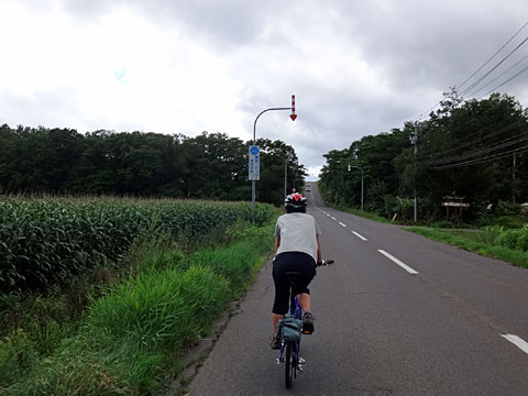 先頭を引くサリーナ