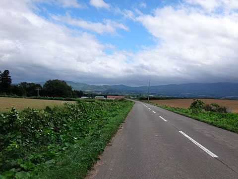 牧草地の間を行く