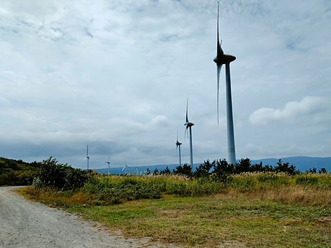 風車の下はダート道