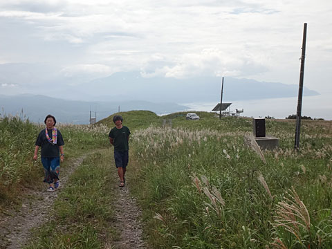 ススキの小道を行く