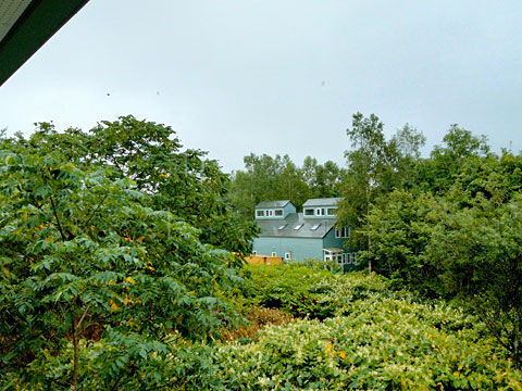 羊蹄山は雲の中