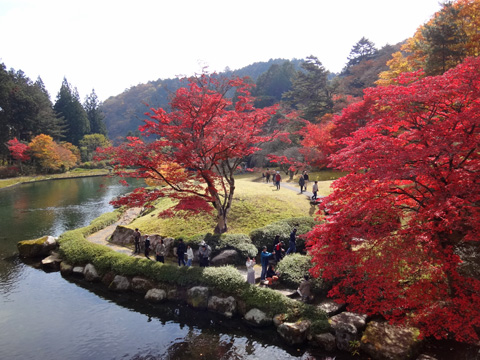 峯の池と紅葉