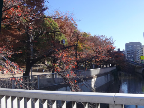 神田川と江戸川公園