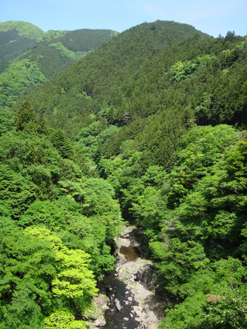 檜村橋より多摩川上流を望む