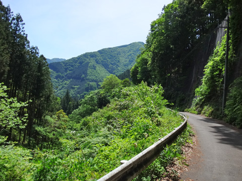 小中沢観光トイレ付近から南を望む